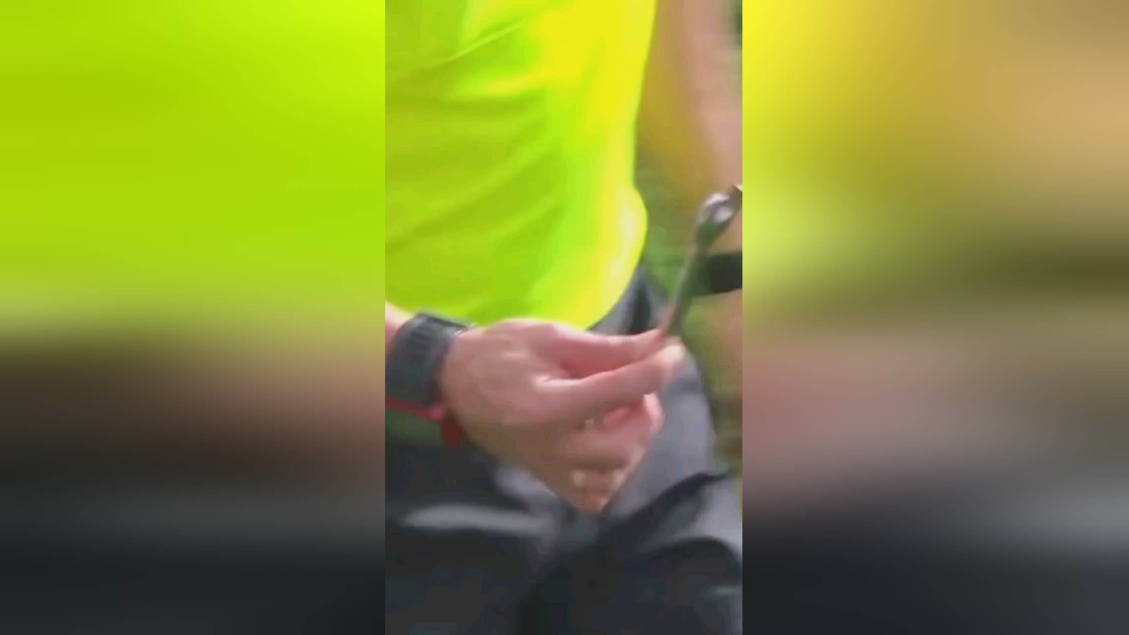 心增强而则